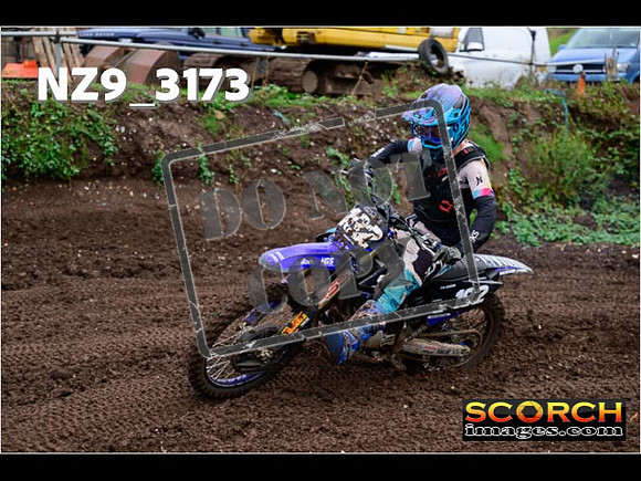 Experts-353