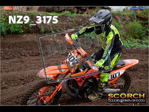 Experts-355