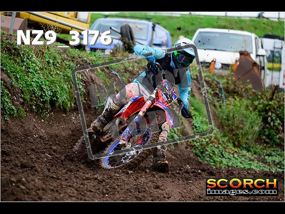 Experts-356