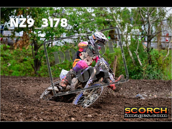 Experts-358
