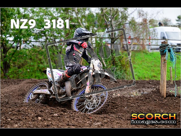 Experts-361