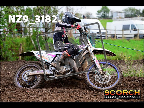 Experts-362