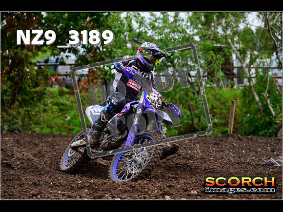 Experts-369