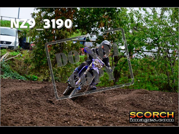 Experts-370