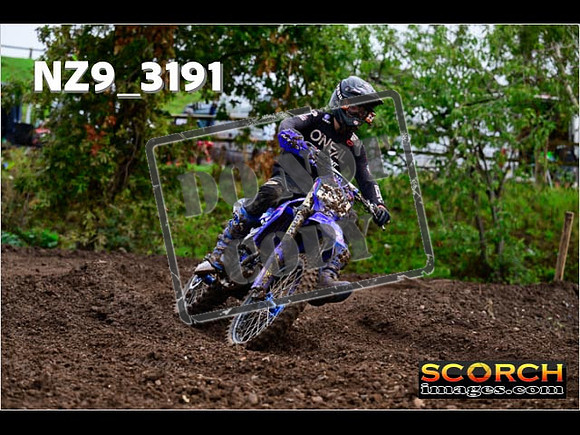 Experts-371