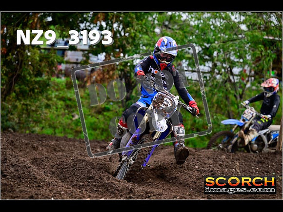 Experts-373