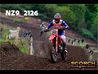 Experts-013