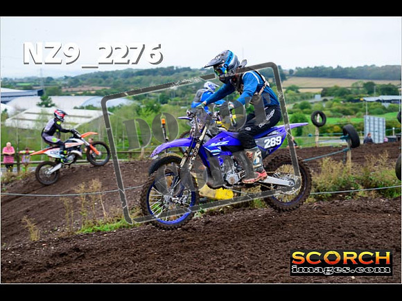 IntersBlue-057