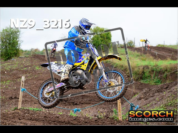 IntersBlue-262