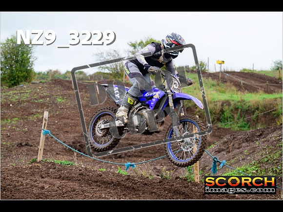 IntersBlue-275