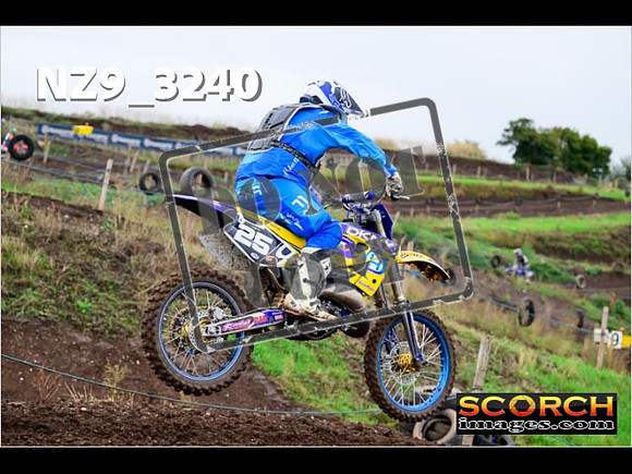 IntersBlue-286