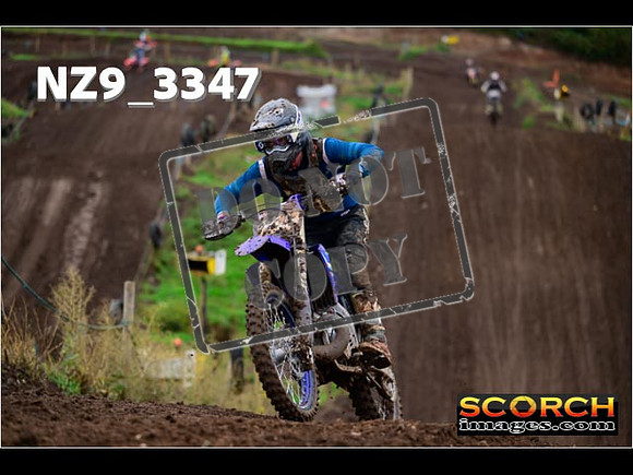 IntersBlue-392