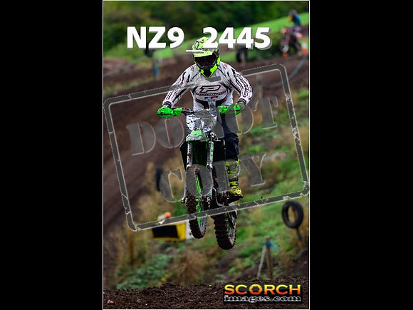 IntersGreen-049