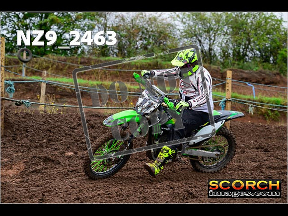 IntersGreen-067