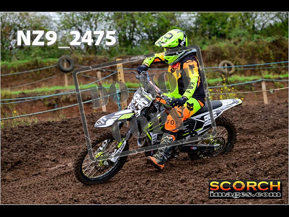 IntersGreen-079