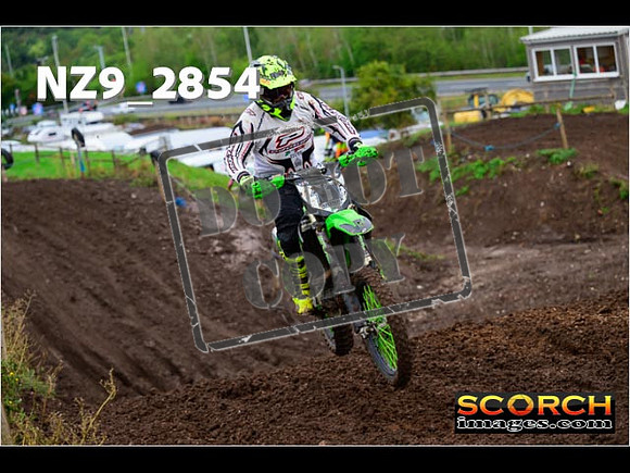 IntersGreen-133