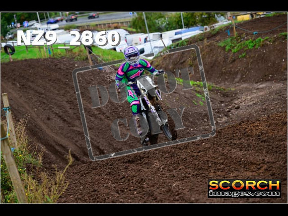 IntersGreen-139