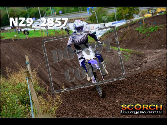 IntersGreen-136