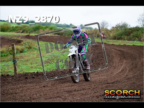 IntersGreen-146