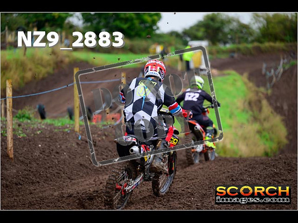 IntersGreen-159