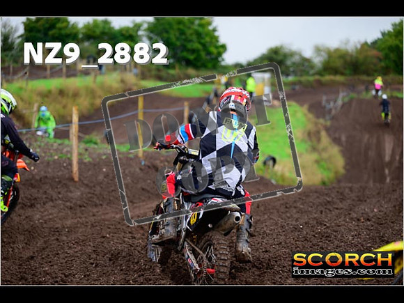 IntersGreen-158