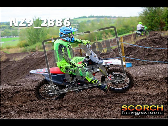 IntersGreen-162