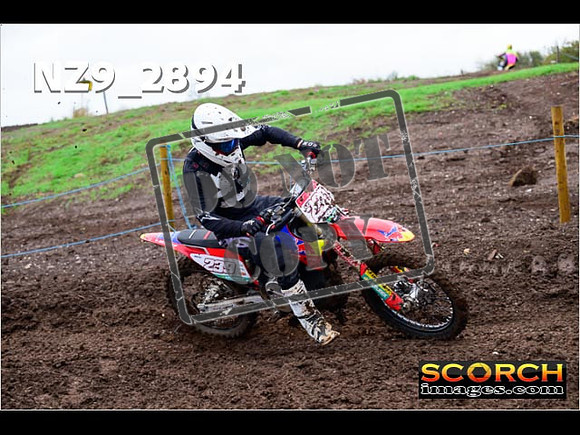 IntersGreen-170