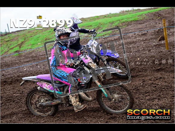 IntersGreen-175