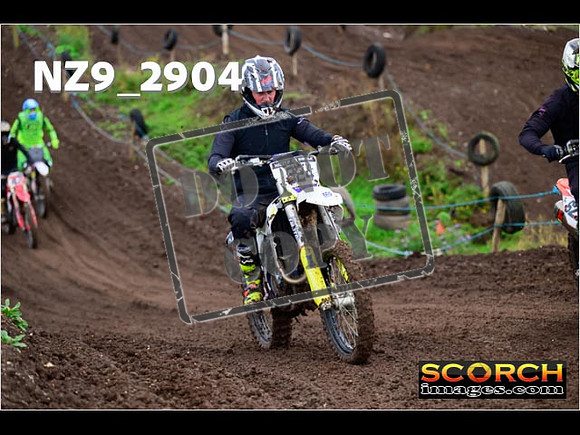 IntersGreen-180