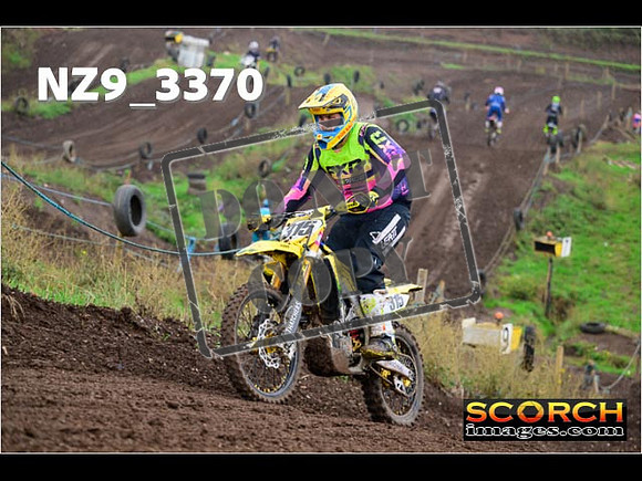 IntersGreen-206