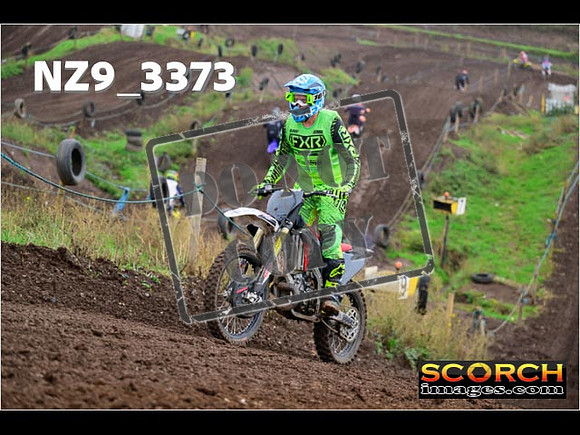 IntersGreen-209