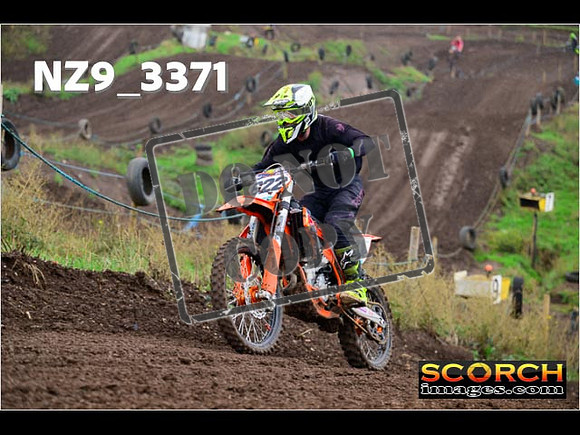 IntersGreen-207