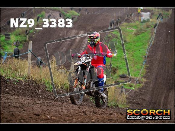 IntersGreen-219