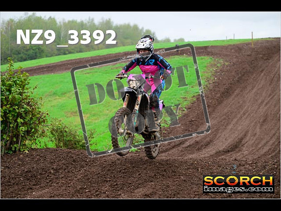 IntersGreen-228