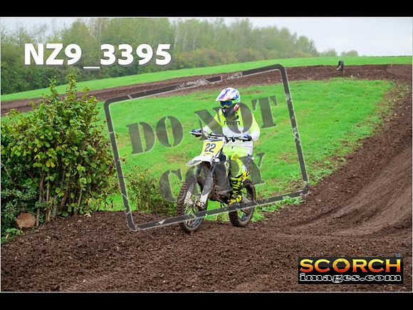 IntersGreen-231