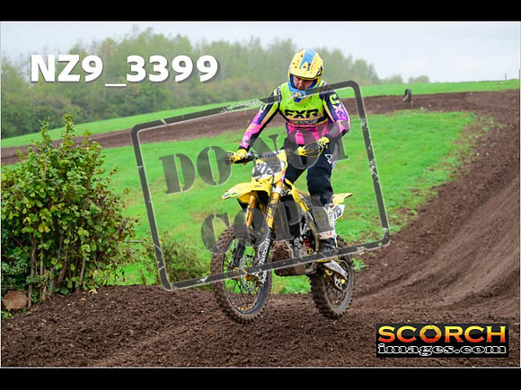 IntersGreen-235