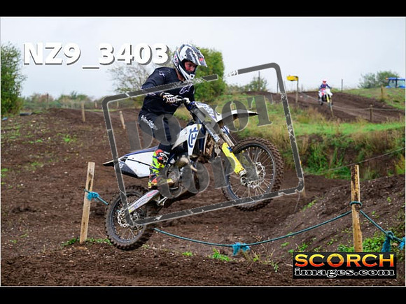 IntersGreen-239