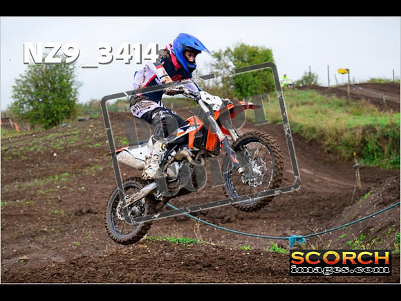 IntersGreen-250