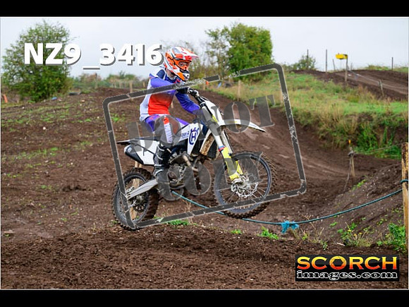 IntersGreen-252