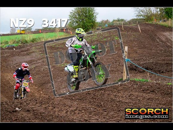 IntersGreen-253