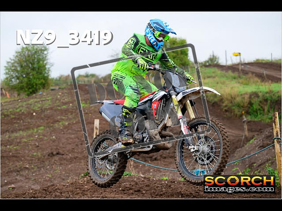 IntersGreen-255