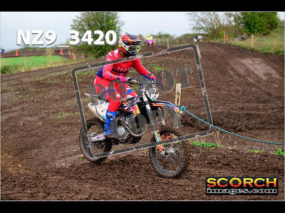 IntersGreen-256