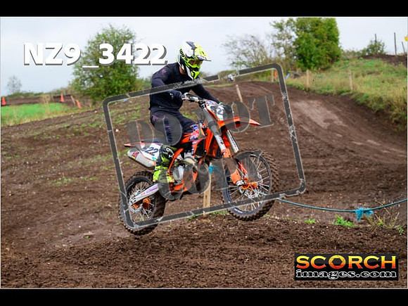 IntersGreen-258