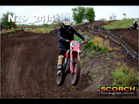 IntersGreen-018