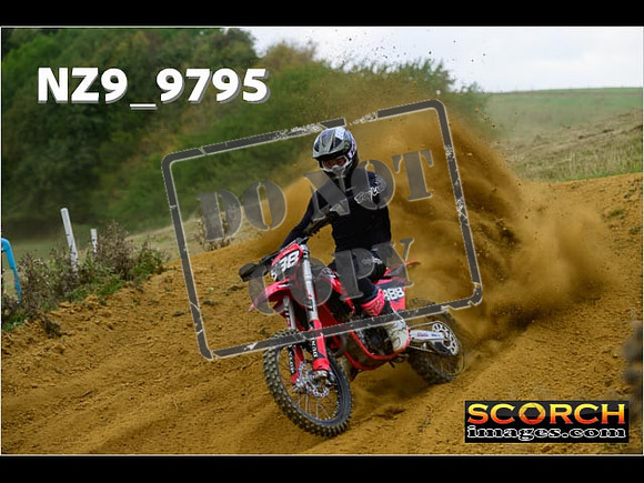 Experts-217