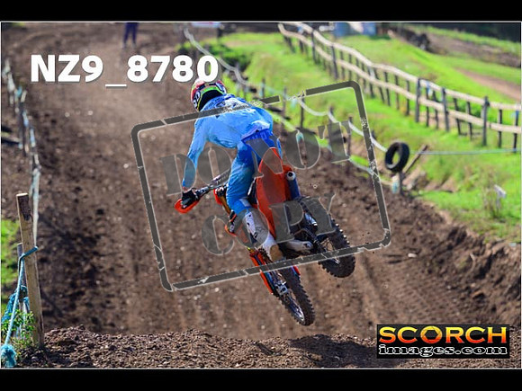Experts-281