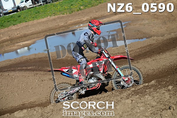 NZ6_0590