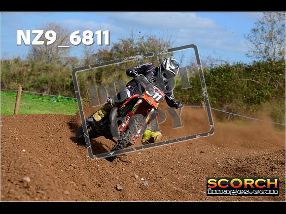Experts-306