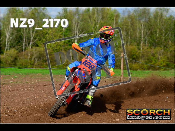 Experts-299