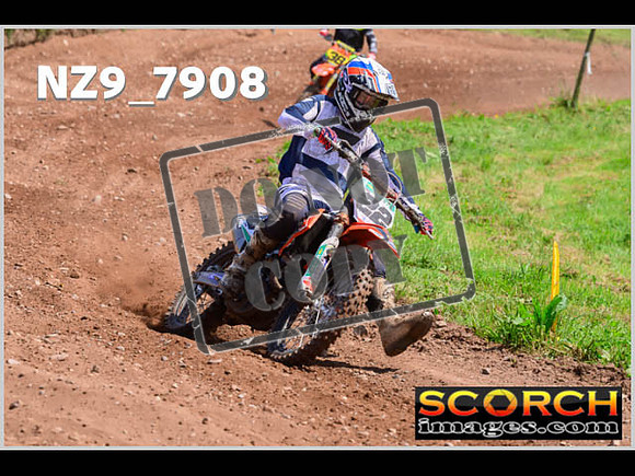 Lower Drayton Vets-38